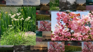 打造令人難忘的大屏相冊(cè)展示：設(shè)計(jì)策略與實(shí)施細(xì)節(jié)